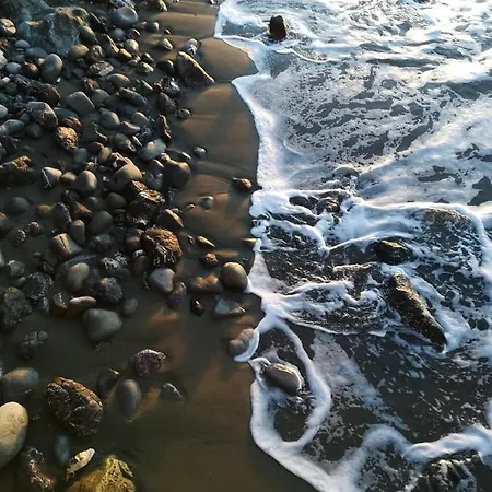 بيت ضيافة La Loggia 4*