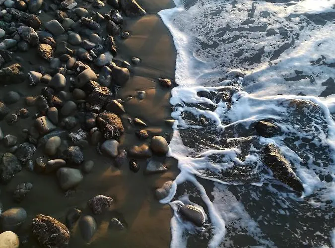 Konukevi La Loggia 4*