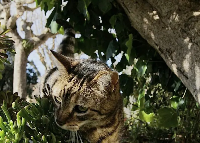 La Loggia Πανσιόν